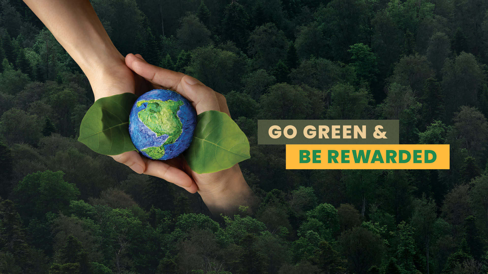 https://www.aceshotels.com/wp-content/uploads/2023/06/go-green-be-rewarded-1920x1080-1-1920x1080.jpg
